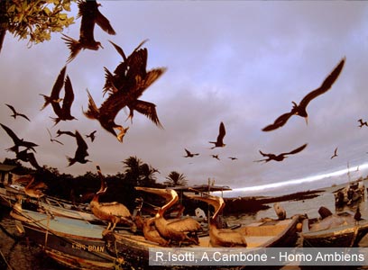 צילום: WWF-Canon צילום: WWF-Canon