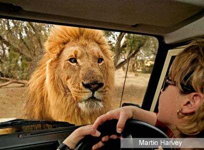 צילום: WWF-Canon צילום: WWF-Canon