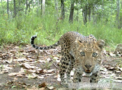 צילום: GDANCP צילום: GDANCP