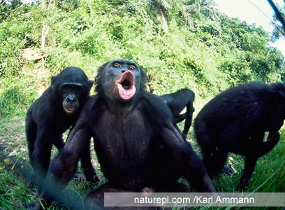 צילום:  WWF