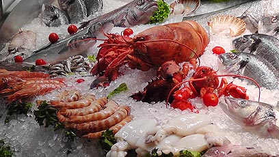 עושה חשק לבשל - שוק פירות הים והדגים (צילום: רפי אהרונוביץ') (צילום: רפי אהרונוביץ')