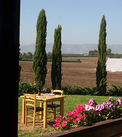 הנוף הנשקף ממסעדת אוקטגון (צילום: אלעד גרשגורן) (צילום: אלעד גרשגורן)