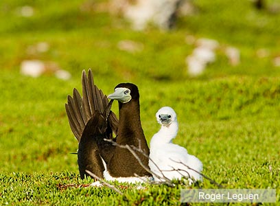 צילום: WWF-Canon