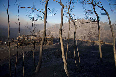 צילום: AP צילום: AP