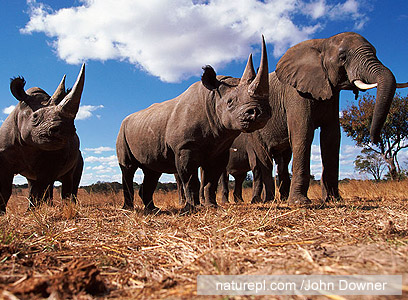 צילום: WWF 