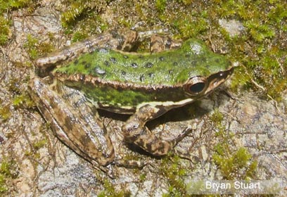 צילום: Bryan Stuart