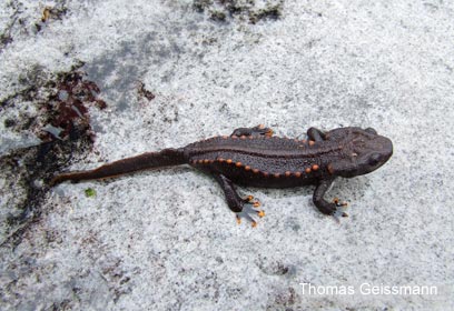 צילום: Bryan Stuart