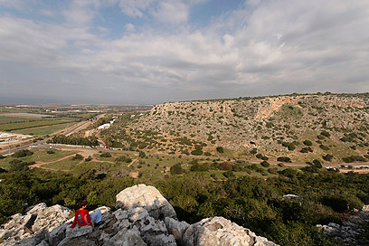 הנוף בשיפולי הכרמל  (צילום: חנן ישכר) (צילום: חנן ישכר)