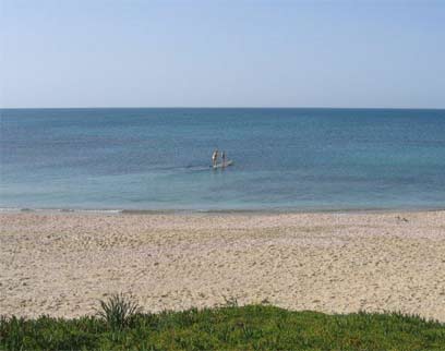 חוף פלמחים  (צילום: יריב נח    ) (צילום: יריב נח    )