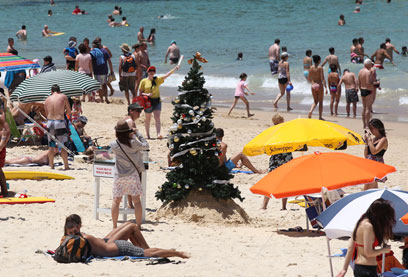 אין שלג, אבל באוסטרליה לא מוותרים על עץ האשוח  (צילום: AP) (צילום: AP)