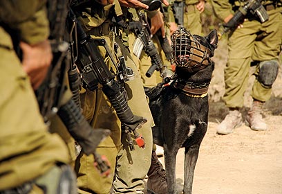 צילום: באדיבות דובר צה"ל צילום: באדיבות דובר צה"ל