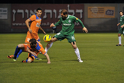 צילום: ראובן שוורץ צילום: ראובן שוורץ