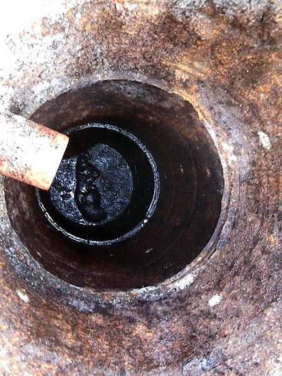 באדיבות "תנו לחיות לחיות"