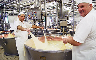 חוטים של גבינה (צילום: שרית סרדס טרוטינו) (צילום: שרית סרדס טרוטינו)