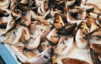לא חייבים לאכול בשר, יש גם דגים טריים (צילום: שרית סרדס טרוטינו) (צילום: שרית סרדס טרוטינו)