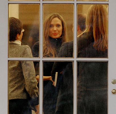 גם היא התארחה בבית הלבן אצל הזוג אובמה. אנג'לינה ג'ולי (צילום: MCT) (צילום: MCT)