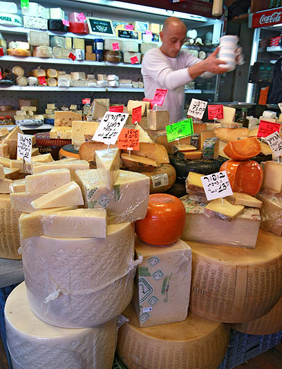 דווקא גורמה - גבינות נדירות (צילום: צביקה טישלר) (צילום: צביקה טישלר)