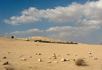 בקעת ערד. הטורבינות מאיימות על הנשרים (צילום: באדיבות החברה להגנת הטבע) (צילום: באדיבות החברה להגנת הטבע)
