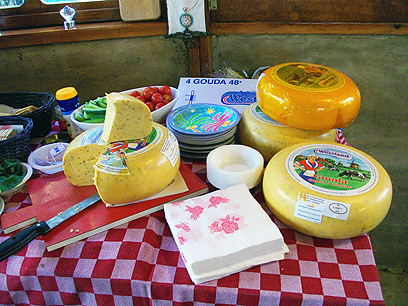 גבינות בשילוב צימרים. החווה ההולנדית (צילום: יעל לינזן) (צילום: יעל לינזן)