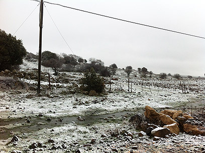 שלג במרום גולן (צילום: מאור בוכניק) (צילום: מאור בוכניק)