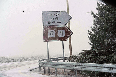 שלג בקיבוץ אל-רום (צילום: אביהו שפירא) (צילום: אביהו שפירא)