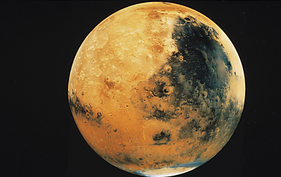 צילום: ויז'ואל/פוטוס צילום: ויז'ואל/פוטוס