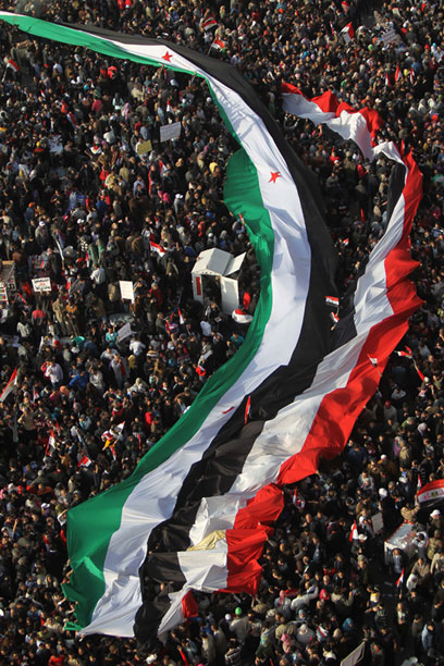 מזדהים עם המחאה בסוריה, היום בכיכר א-תחריר בקהיר (צילום: AFP) (צילום: AFP)