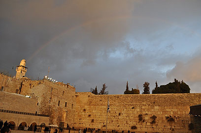 צילום: מירה שחם צילום: מירה שחם