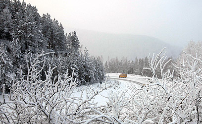 וזה כבר החורף הרוסי הלבן (צילום: רויטרס) (צילום: רויטרס)