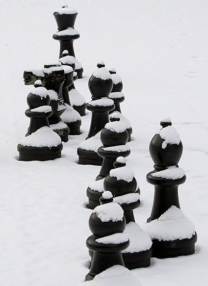 הוציאו אותם מהכלים. כלי שחמט בשטוטגרט, גרמניה (צילום: AFP) (צילום: AFP)