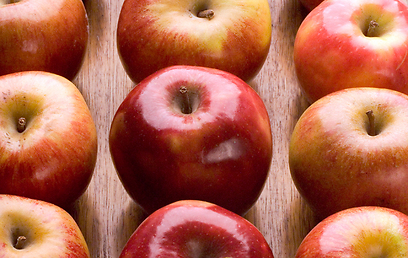 בתפוח עץ קטן, אדום או ירוק, יש כ-60 קלוריות (צילום: Shutterstock) (צילום: Shutterstock)