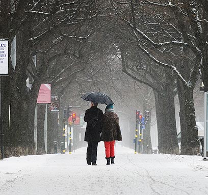 תחת מטרייה אחת בשטוקהולם, בירת שבדיה (צילום: AFP) (צילום: AFP)