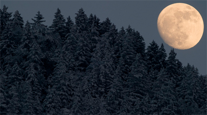ירח מבצבץ מאחורי יער מושלג בדרום גרמניה (צילום: AFP) (צילום: AFP)