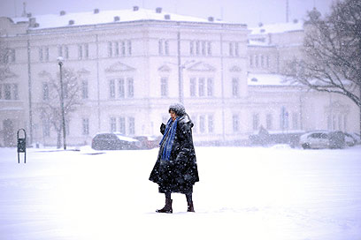 סבתא בשלג. אשה מהלכת בסופיה המושלגת, בולגריה (צילום: AFP) (צילום: AFP)