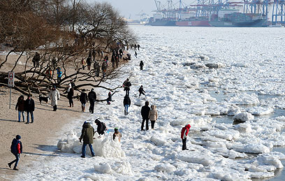 בגרמניה יצאו לשחק בקרח על גדות נהר האלבה שקפא (צילום: AFP) (צילום: AFP)