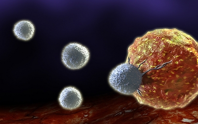 הדמיה של תאי טי תוקפים גידול סרטני  (צילום: shutterstock) (צילום: shutterstock)