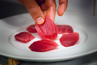 לוקוסים בפוזות מאיימות, רוזטות טריות וסשימי טונה אדומה לקינוח. דגים ב-"רפאל" (צילום: ירון ברנר) (צילום: ירון ברנר)