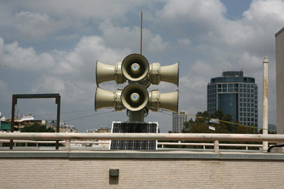 צילום: תומי הרפז צילום: תומי הרפז