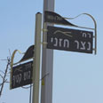 צילום: זיו ריינשטיין