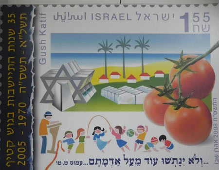 צילום: זיו ריינשטיין