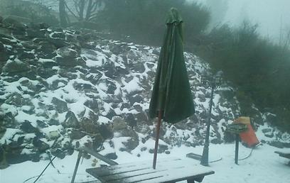 שלג הבוקר במושב אודם שבצפון הגולן (קובי צאיג) (קובי צאיג)