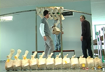 צילום: ארז ארליכמן