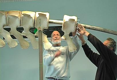 צילום: ארז ארליכמן