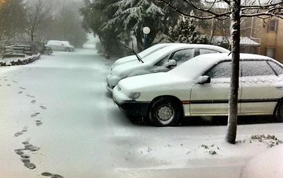 שלג במרום גולן (צילום: רום רוזנבלט) (צילום: רום רוזנבלט)