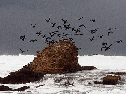 הסערה בשדות ים (צילום: איתי אמיר) (צילום: איתי אמיר)