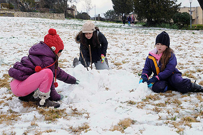 משחקים בשלג במשגב עם (צילום: אביהו שפירא) (צילום: אביהו שפירא)