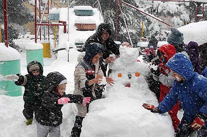 אין בית ספר, הילדים יצאו לשחק בשלג ברמת הגולן (צילום: אביהו שפירא) (צילום: אביהו שפירא)