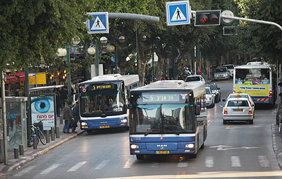 רוצים תחבורה ציבורית גם בשבת  (צילום: מוטי קמחי) (צילום: מוטי קמחי)