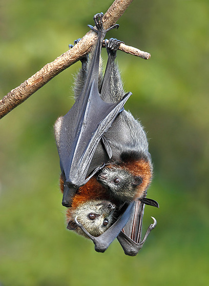 צילום: עופר לוי