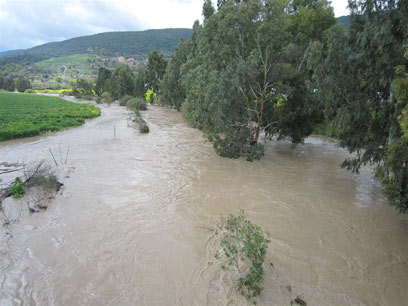 צילום: וושינגטון אירווינג צילום: וושינגטון אירווינג